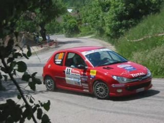 Rallye Alsace- Vosges 2007