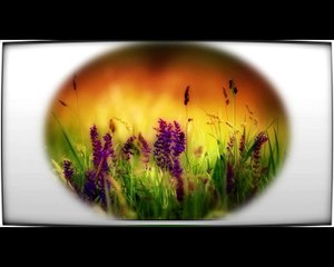 ИЗУМРУДНЫЕ СКРИЖАЛИ, часть 8.