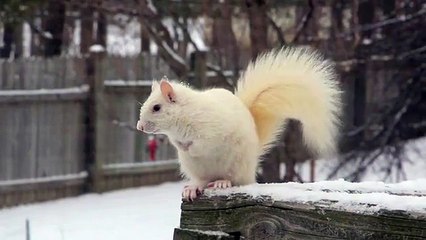 Your daily dose of cuteness