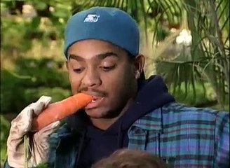 bill nye the science guy s02e06 Food Web