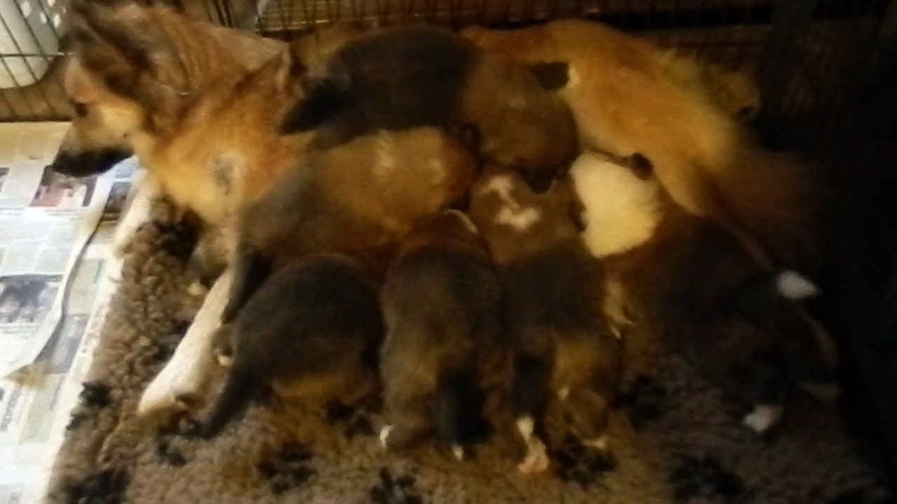 Ouverture du Milk Bar DSCN6868