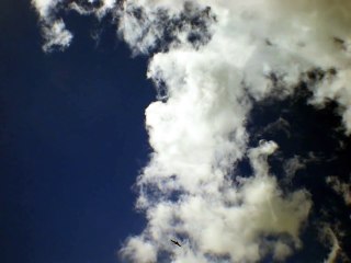 Calming Breathing Exercises for Even the Most Stressful Days