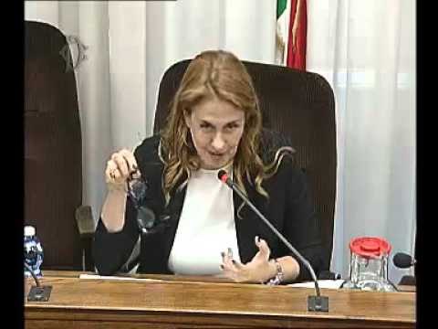 Roma - Seguito audizione della Presidente Maggioni e del Cda Rai (27.01.16)