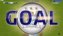 Fernandinho Super Goal Manchester City 1-1 Everton 27-01-2016 HD
