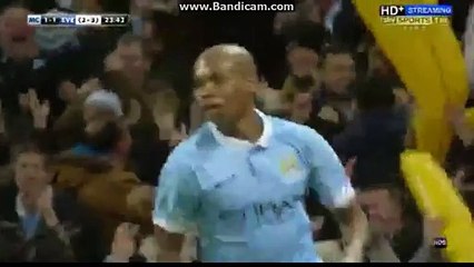 Fernandinho Goal Man City 1-1 Everton FA CUP