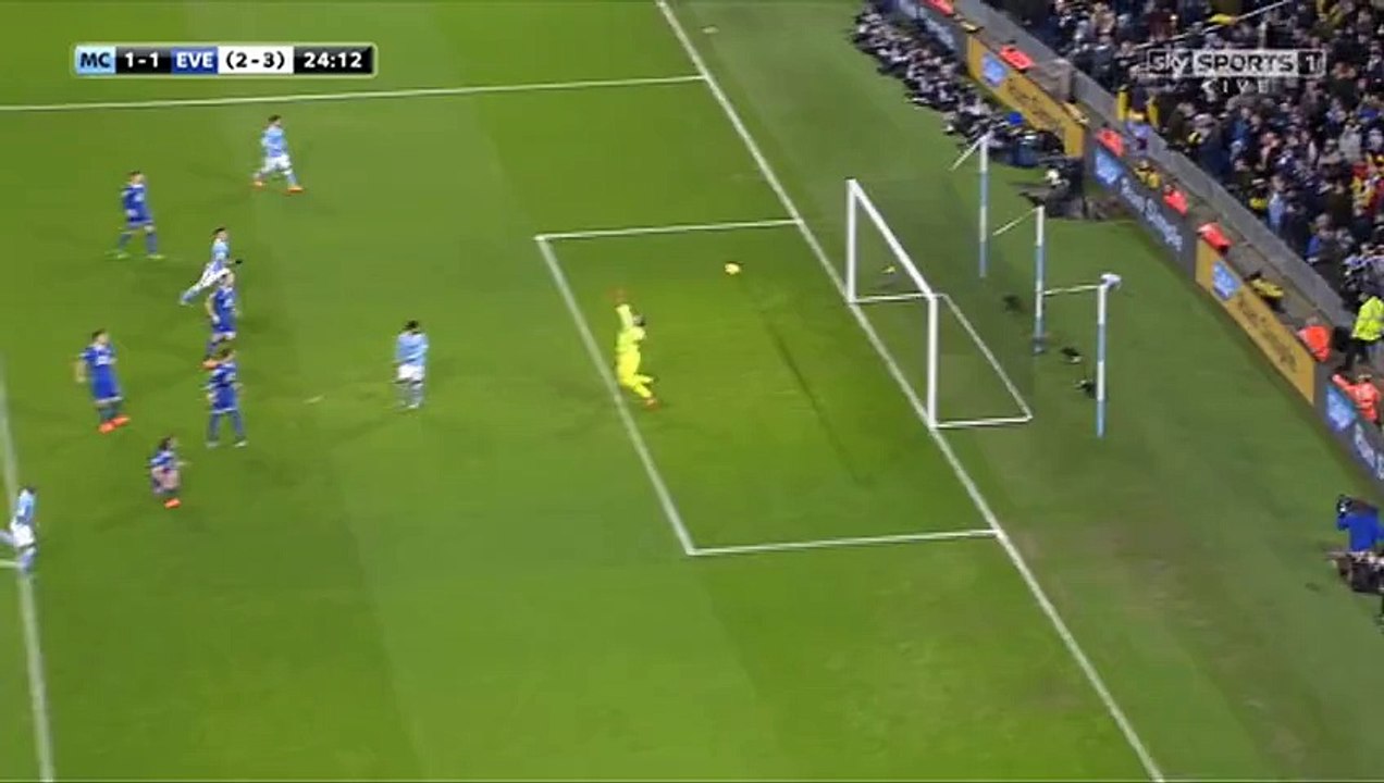 1-1 Fernandinho Goal England  Football League Cup  Semifinal - 27.01.2016, Manchester City 1-1 Everton FC