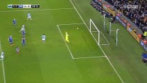 Fernandinho Goal - Manchester City 1 - 1	Everton - 27-01-2016