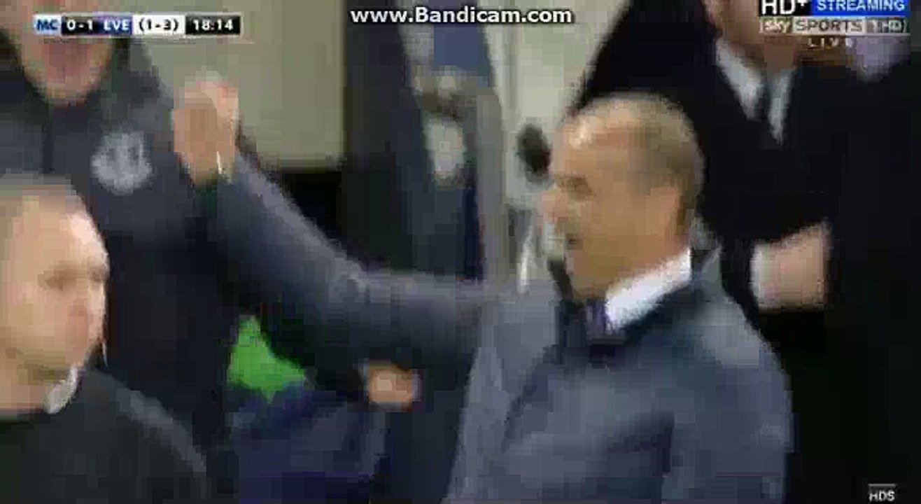 1-1 Fernandinho Super Goal Man City 1-1 Everton FA CUP