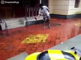 Позитивные курьёзы и приколы