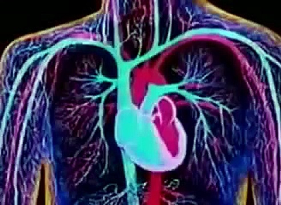 Bill Nye the Science Guy episodes 76 Heart