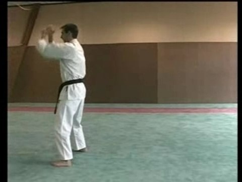 TAI-JITSU DO METHODE MODERNE DE SELF DEFENSE