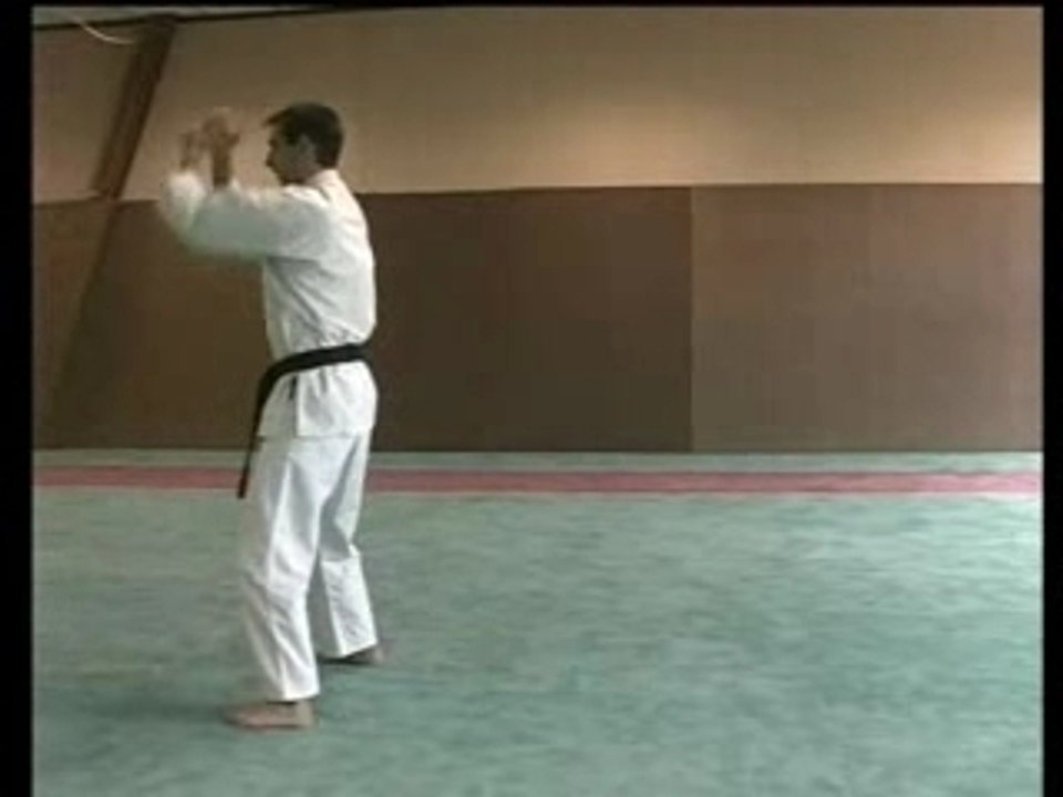 TAI-JITSU DO METHODE MODERNE DE SELF DEFENSE