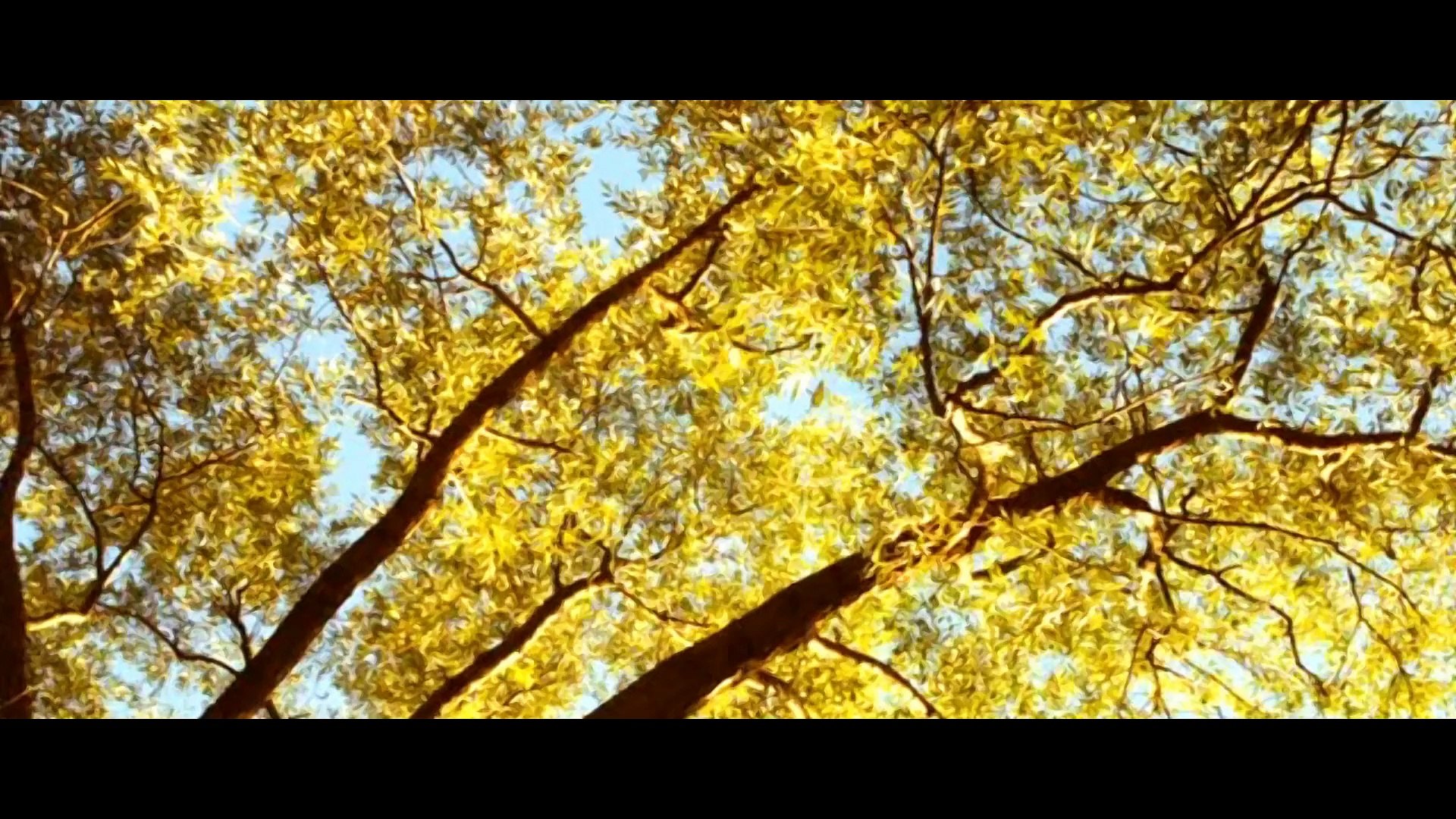 ⁣красивая музыка