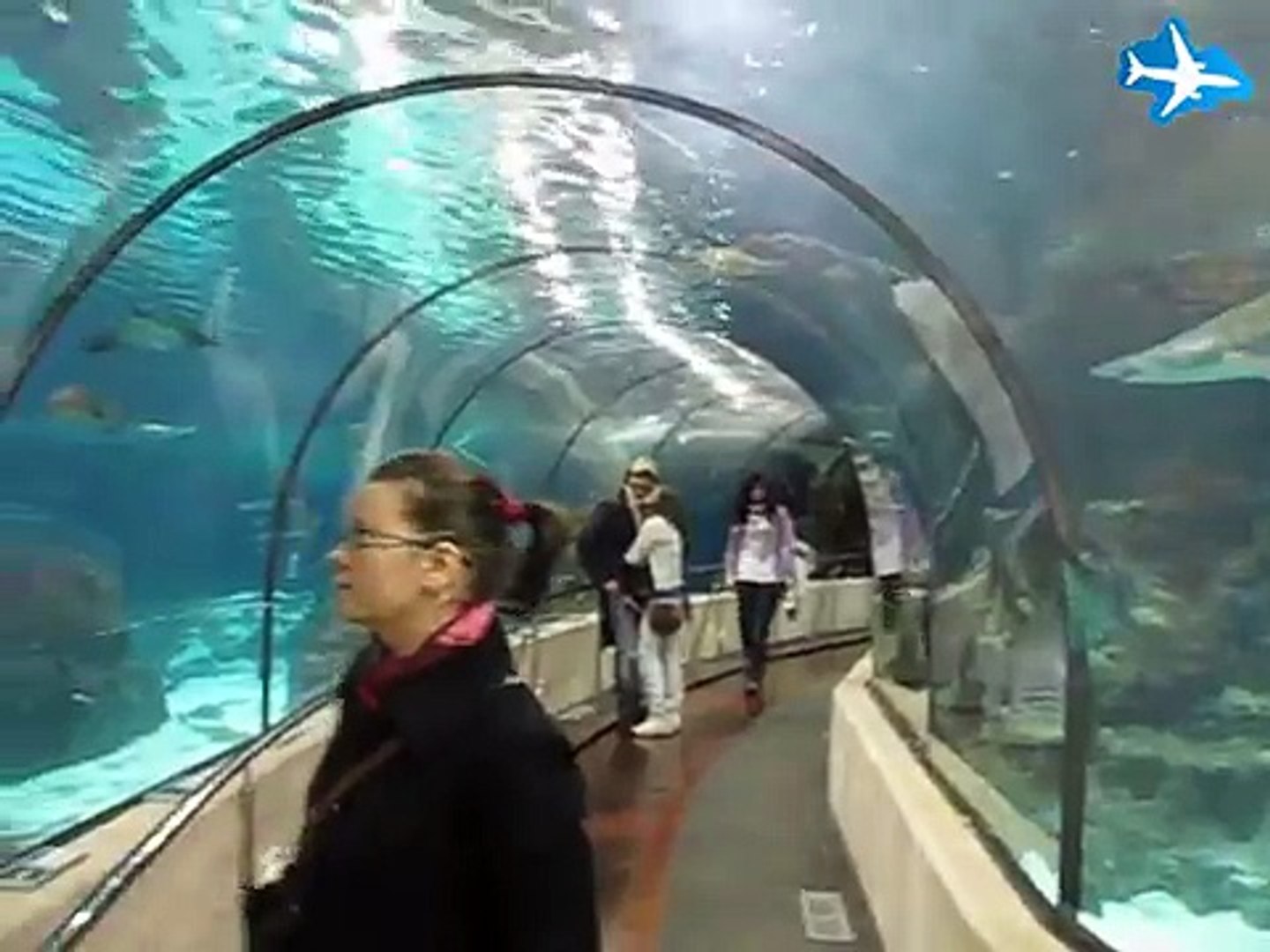 ⁣Barcelona - Aquarium