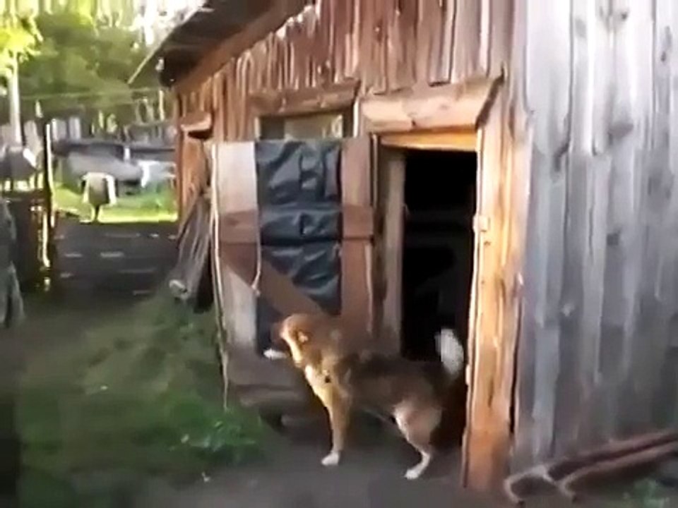 До свиданья, приходите в другой раз