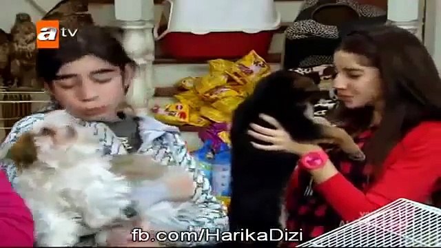 Alemin Kralı 14. Bölüm Tek Parça Atv