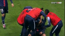 Ezequiel Lavezzi Goal HD - PSG 1-0 Toulouse - 24-01-2016