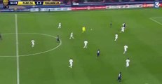 Ezequiel Lavezzi Goal - PSG 1 - 0 Toulouse - 27-01-2016