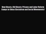 New Ghosts Old Ghosts: Prisons and Labor Reform Camps in China (Socialism and Social Movements)