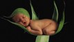 ♫♫♫ 2 HOURS LULLABY ♫♫♫ Baby Sleep Music, Baby Relaxing Music, Bedtime by BABY RELAX CHANNEL