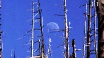 Lunar Anomalies | CLASSIC