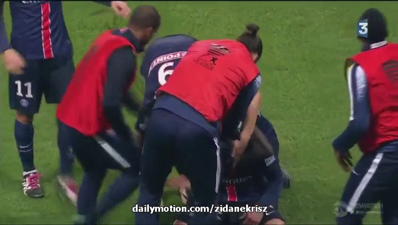 Paris Saint Germain 2-0 Toulouse -All Goals HD - 27.01.2016