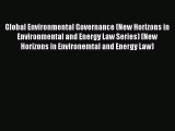 Global Environmental Governance (New Horizons in Environmental and Energy Law Series) (New