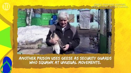 10 Things You Didnt Know About Brazil