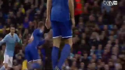 Manchester City vs Everton 3-1 All Goals Capital One Cup 2016