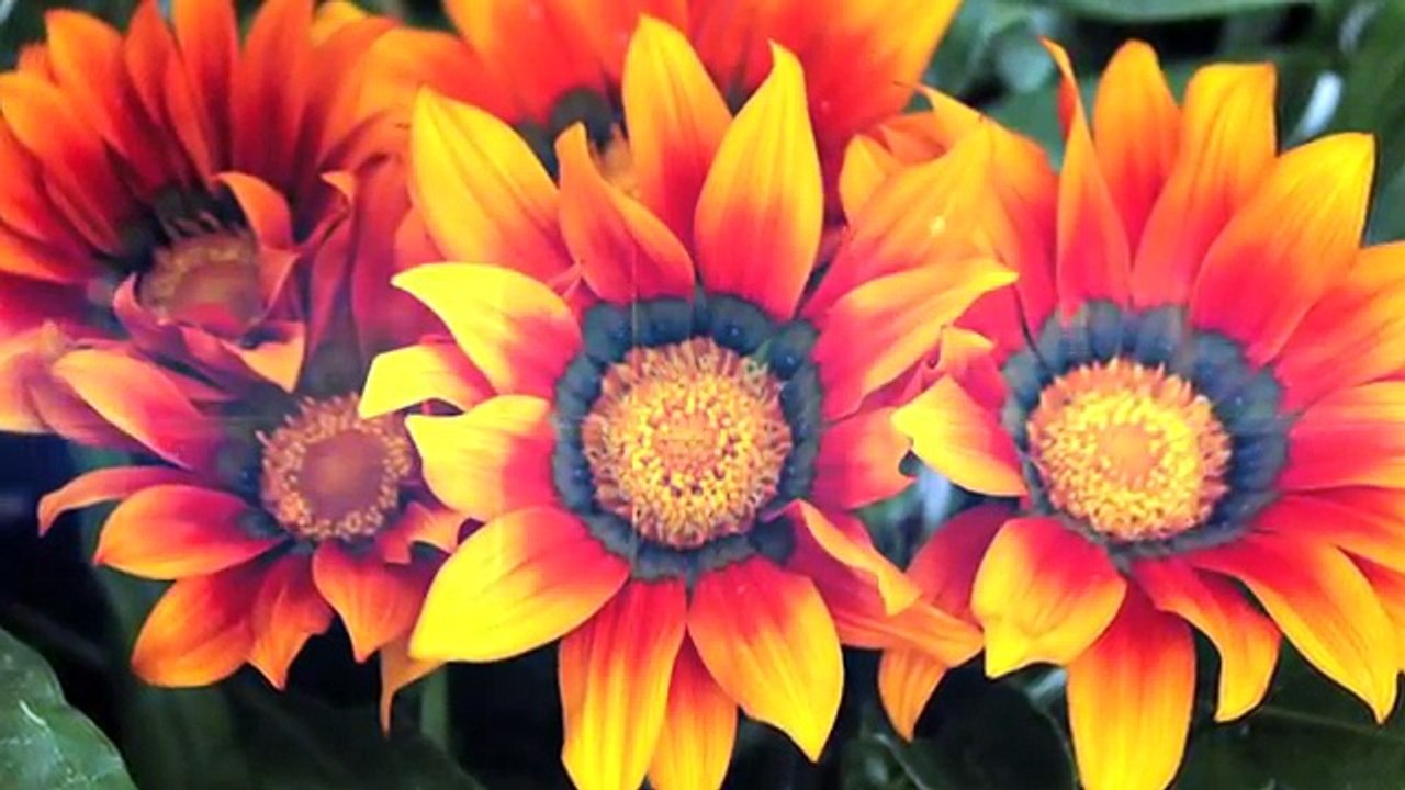 Chill Out |  Romantic | world | Ambient |  soft background  music for Relaxation (World Music 720p)