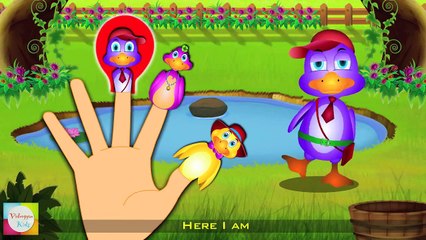 Duck Finger Family | Cat Finger Family | Dog Finger Family and More