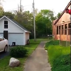 Recopilación de tortas  y ostias