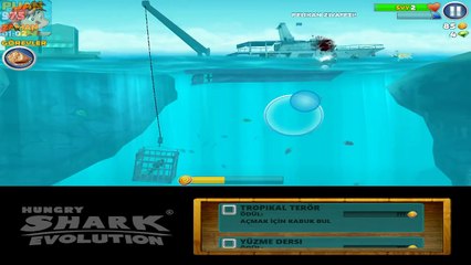 Köpek Balığı Oyunu Hungry Shark Çocuklar İçin