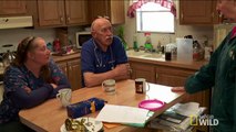 Darlin Bee Good To Me | The Incredible Dr. Pol: Polments