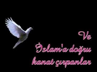 Muhammed Jackson