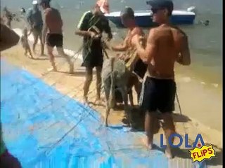 Shrek Moments - You Aint Never Seen A Donkey Fly