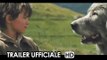 Belle e Sebastien Trailer Ufficiale Italiano (2014) Nicolas Vanier Movie HD
