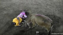 JARIPEO RANCHERO EN LAS FIESTAS TITULARES ULUAZAPAN EL SALVADOR SEGUNDO DIA DE CELEBRACION TOROS SALVAJES 22 ENERO 2016