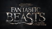 Fantastic Beasts and Where to Find Them - Announcement Trailer Tease