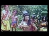 Popular Badla & Sherni videos