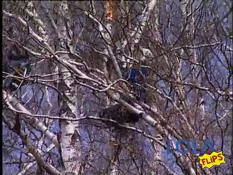 Base Jumpers Death Plunge after Parachute Fails to Open