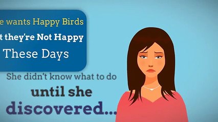 How to Build an Aviary