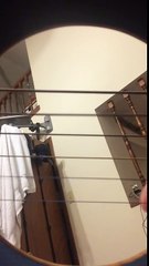 Brother Rescues Phone From The Guitar