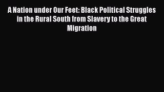 A Nation under Our Feet: Black Political Struggles in the Rural South from Slavery to the Great
