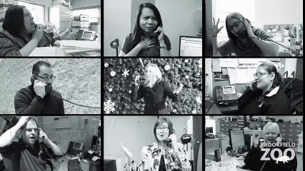 Thank You, Brookfield Zoo Volunteers!