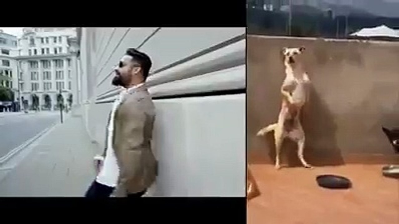 Nannaku Prematho Teaser | Jr NTR