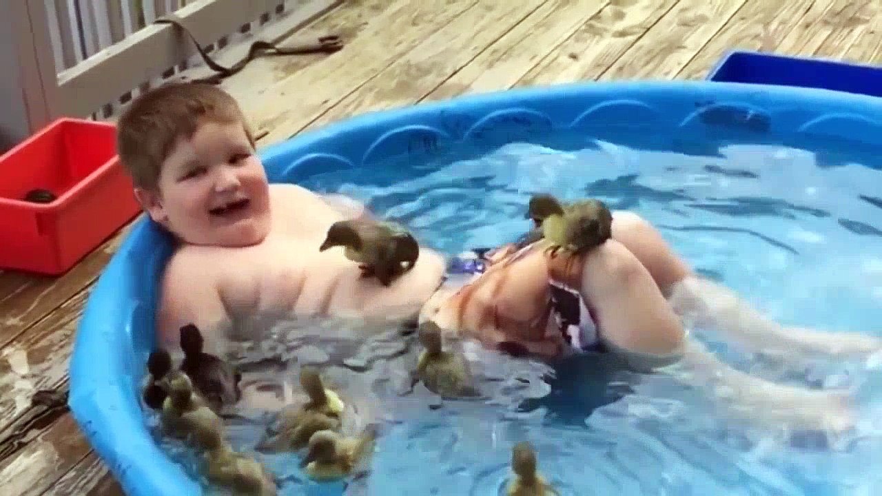 Funny Animals 2016 Śmieszne Zwierzęta