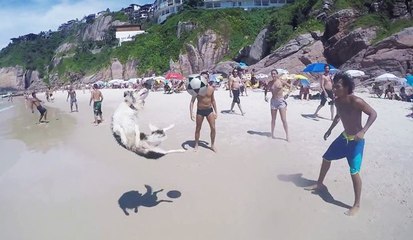 A dog Plays beach soccer with humans