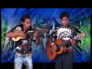 ECUADOR ANDES PASTOR SOLITARIO