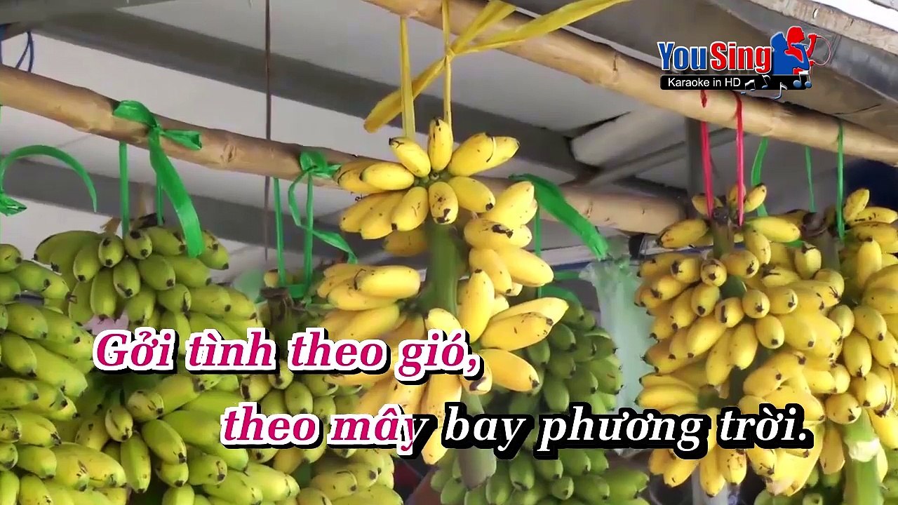 Tình Buồn Em Ra Đi_Lý Diệu Linh-Karaoke